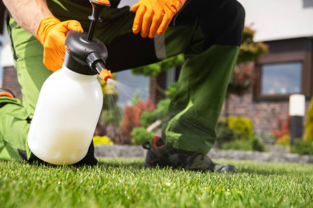 Professional Pest Control in Glide, OR